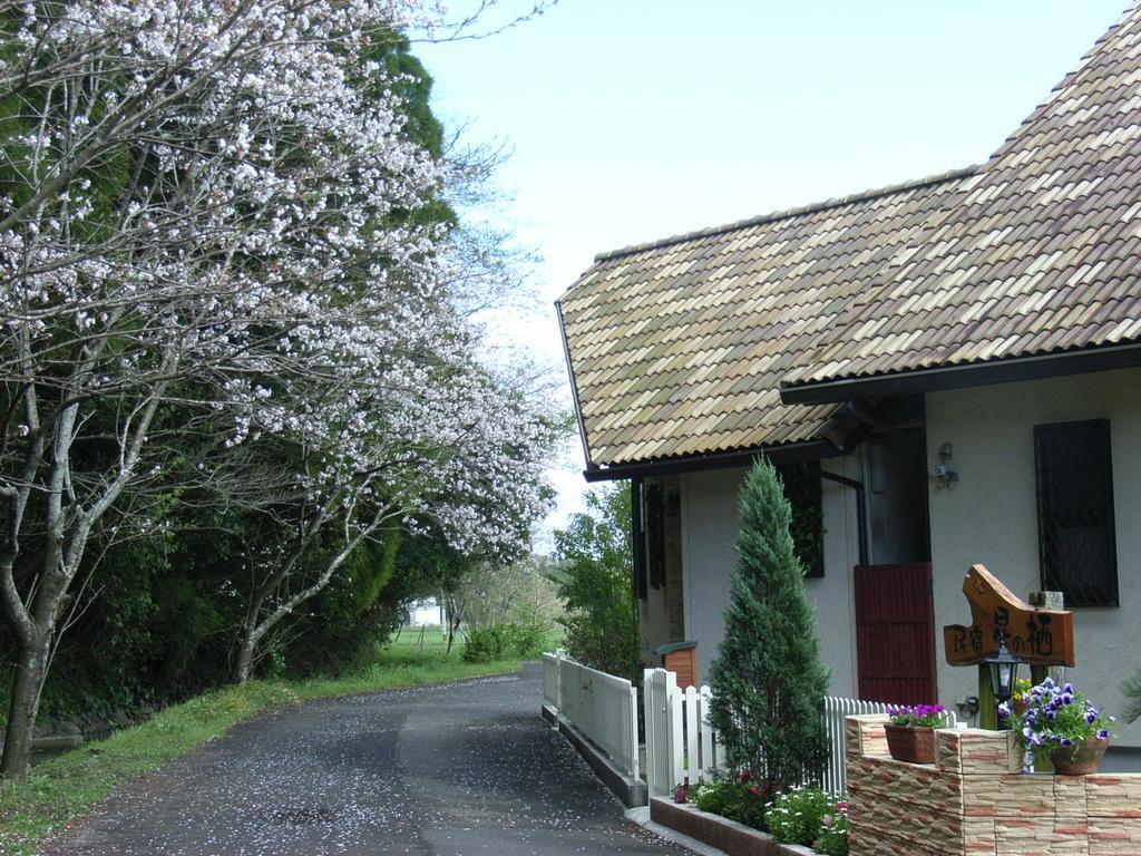 Minshuku Hoshi No Sumika Hotel Shibushi Bagian luar foto